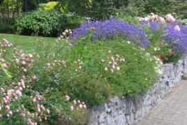 Gepflegtes Staudenbeet im Sommer